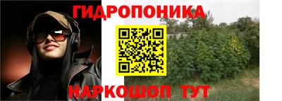 соль ск Свободный