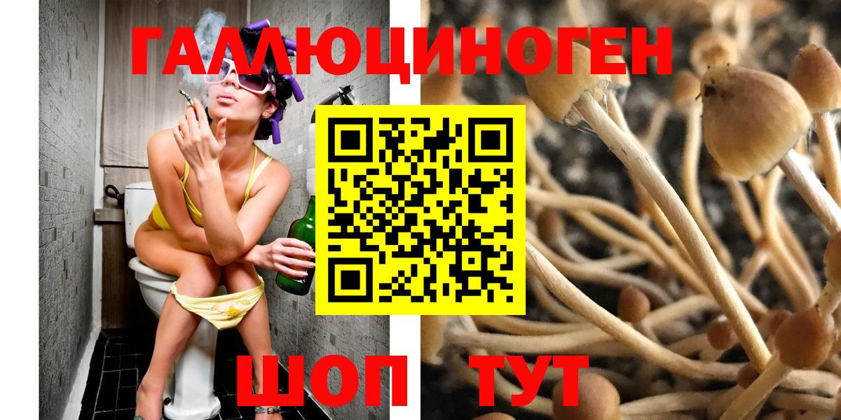 Галлюциногенные грибы Cubensis Орск